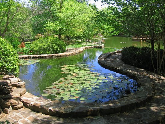 Clark Gardens Botanical Park image