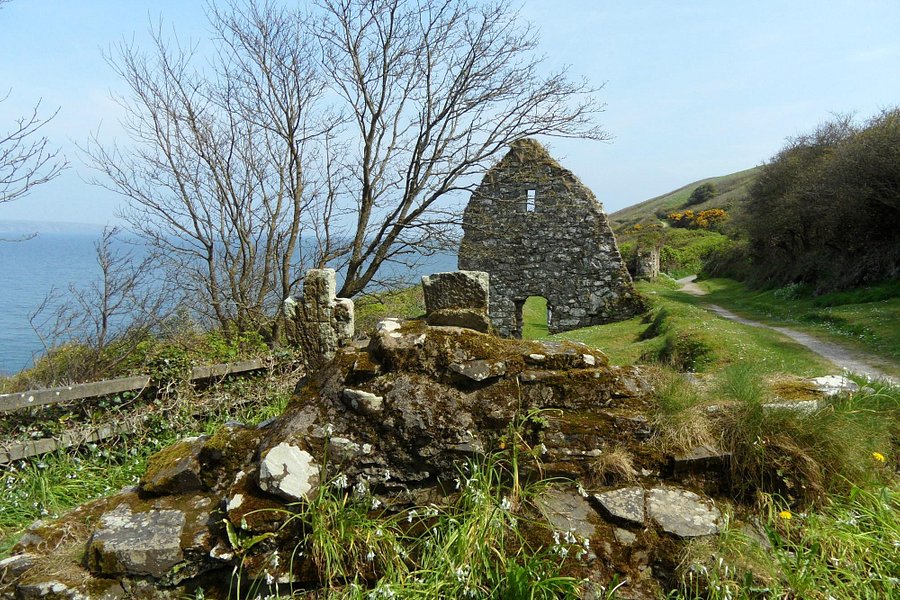 St Declan's Well and Oratory image