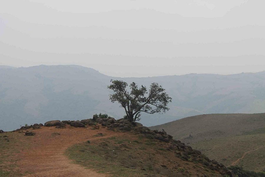 Mandalpatti Peak image