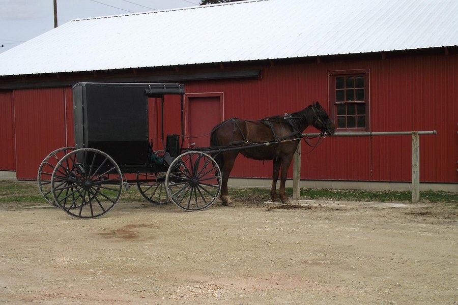 R & M Amish Tours image
