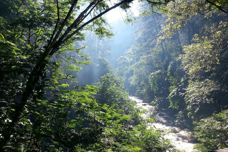 Forest Park Conservation Area Tahura Ir. H. Juanda image