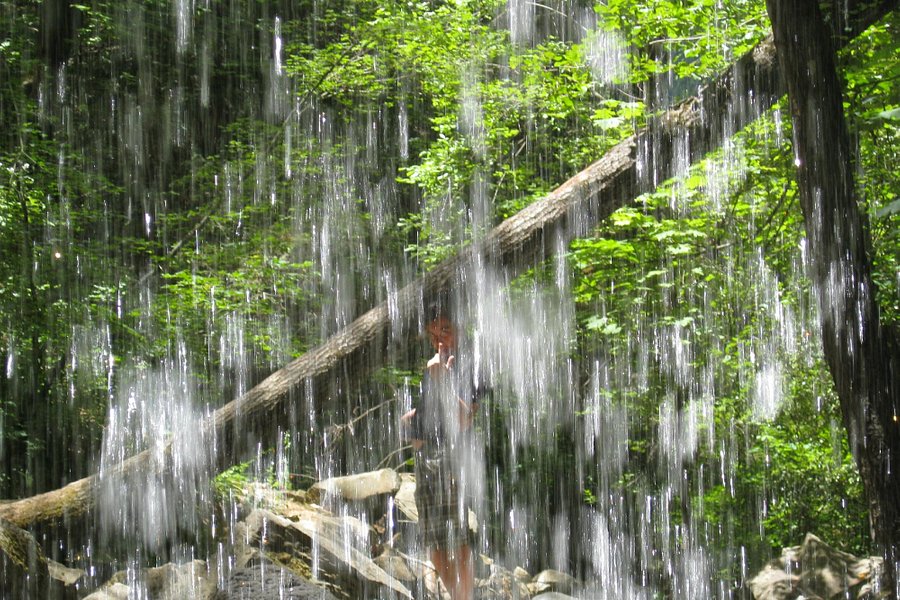 Hedge Creek Falls image