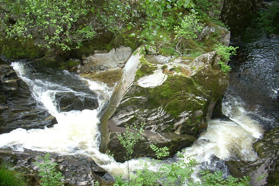 Gilfach Nature Reserve image