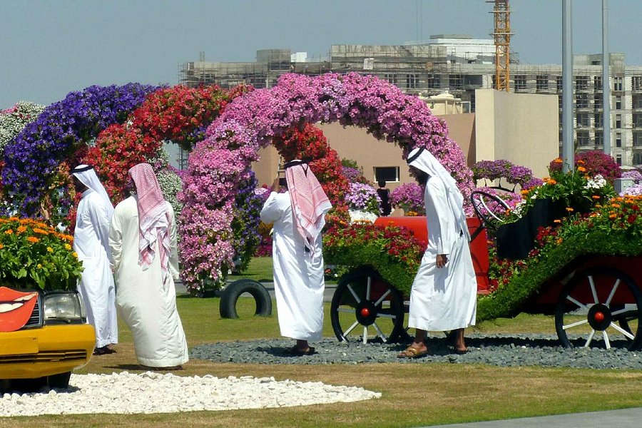 Dubai Miracle Garden image