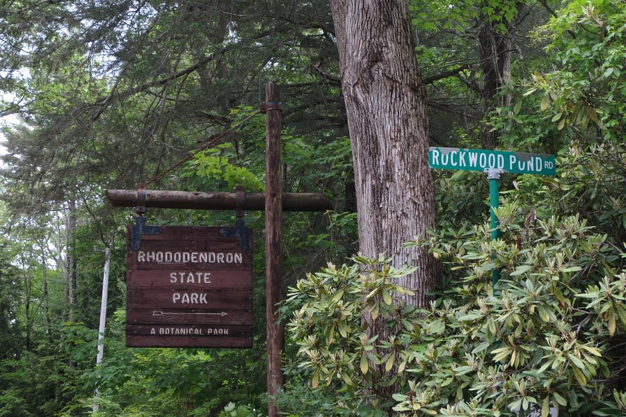 Rhododendron State Park image