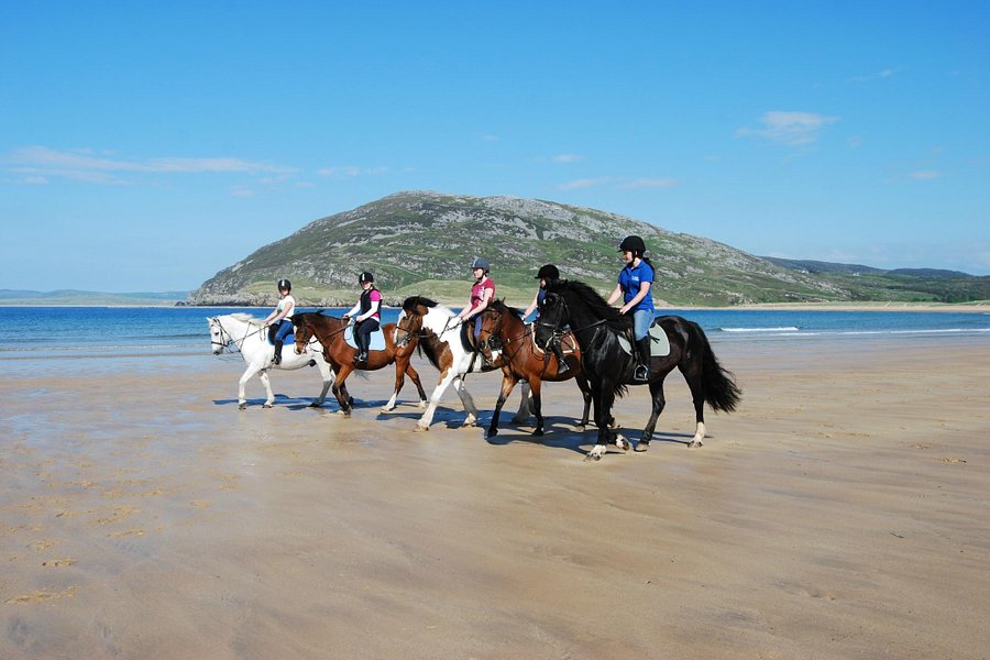 Tullagh Bay Equestrian Centre image