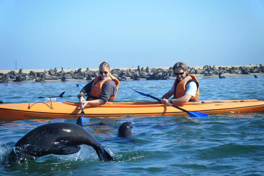 Pelican Point Kayaking image