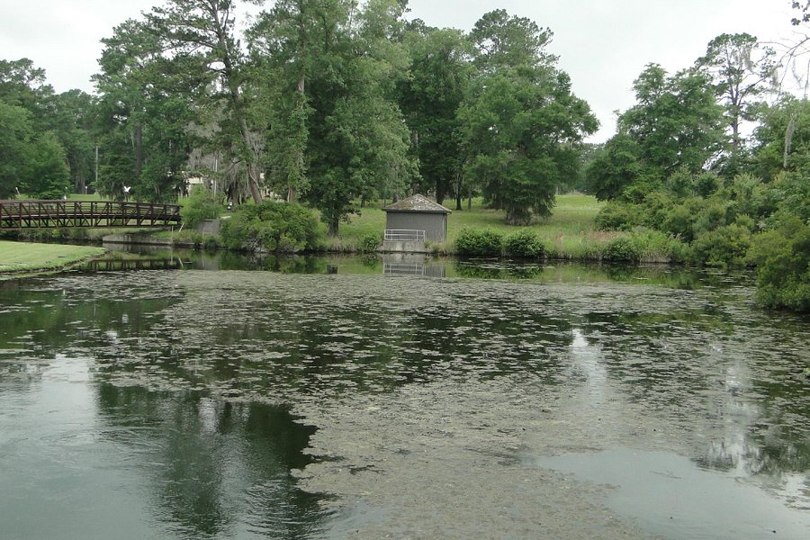 Magnolia Springs Park image