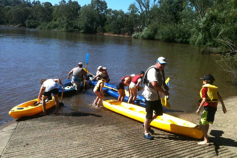 Murray River Canoe Hire image