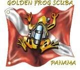 Golden Frog Scuba image