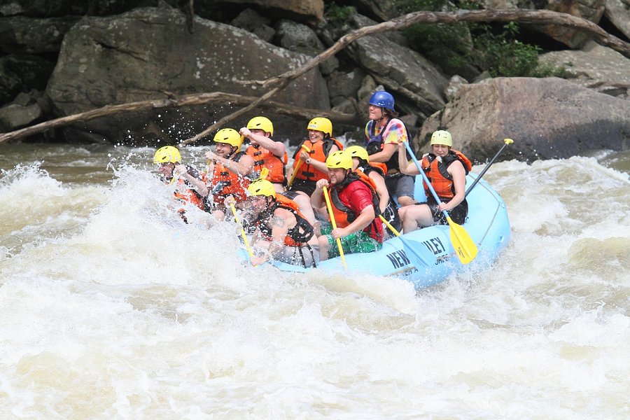 New & Gauley River Adventures image