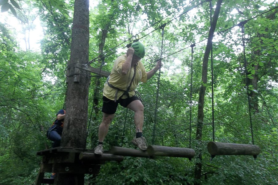 Adventure Creek Challenge Course, LLC image