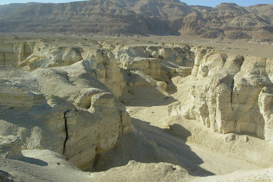 Desert Trails - Day Tours image