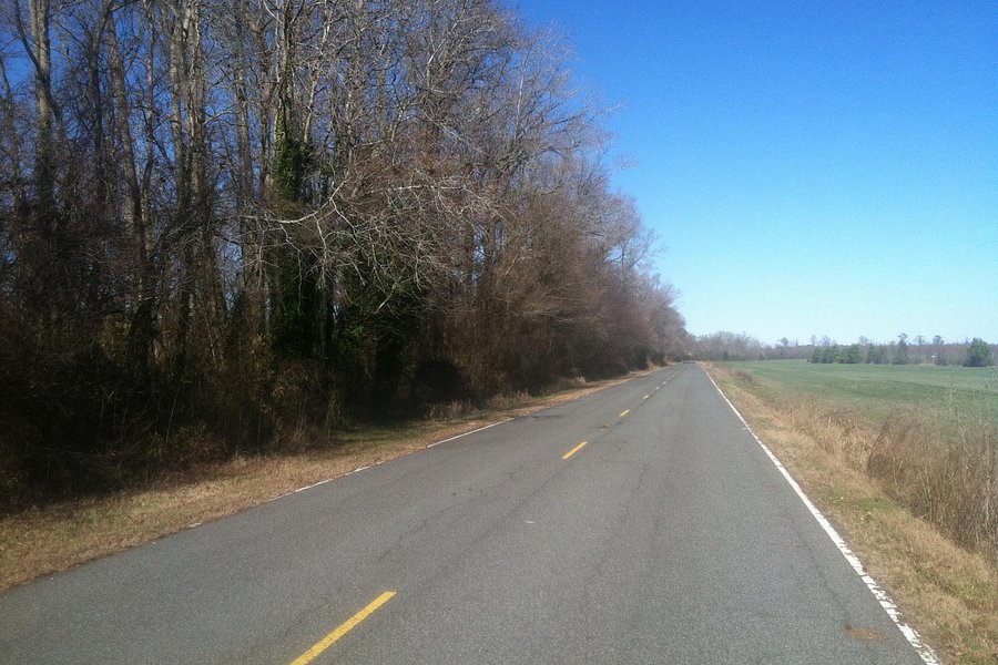 Dismal Swamp Canal Trail image