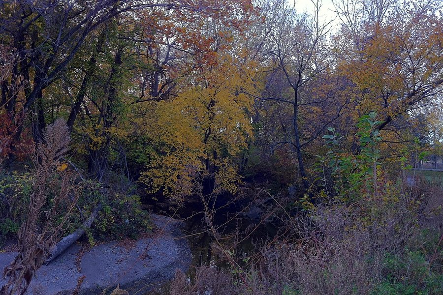 Indian Creek Greenway image