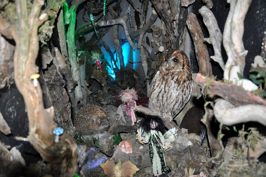 Leprechaun and Fairy Underground Cavern image