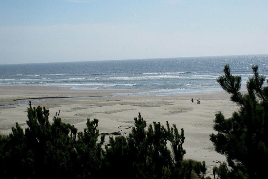 Driftwood Beach State Recreation Site image