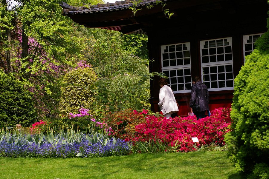 Japanischer Garten Leverkusen image
