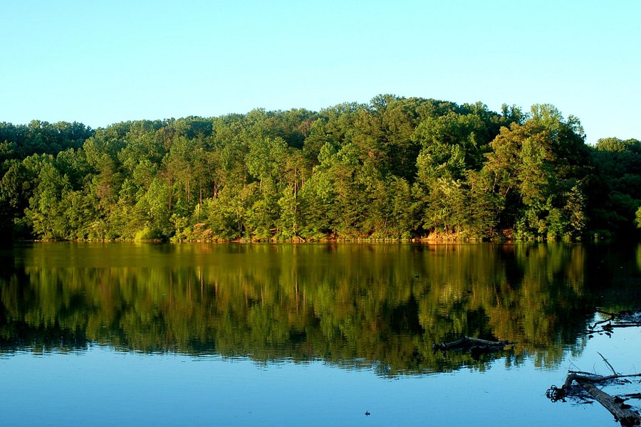 Lake Accotink Park image