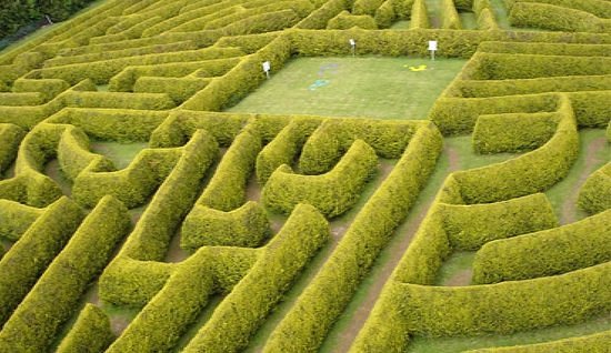 The Kildare Maze image