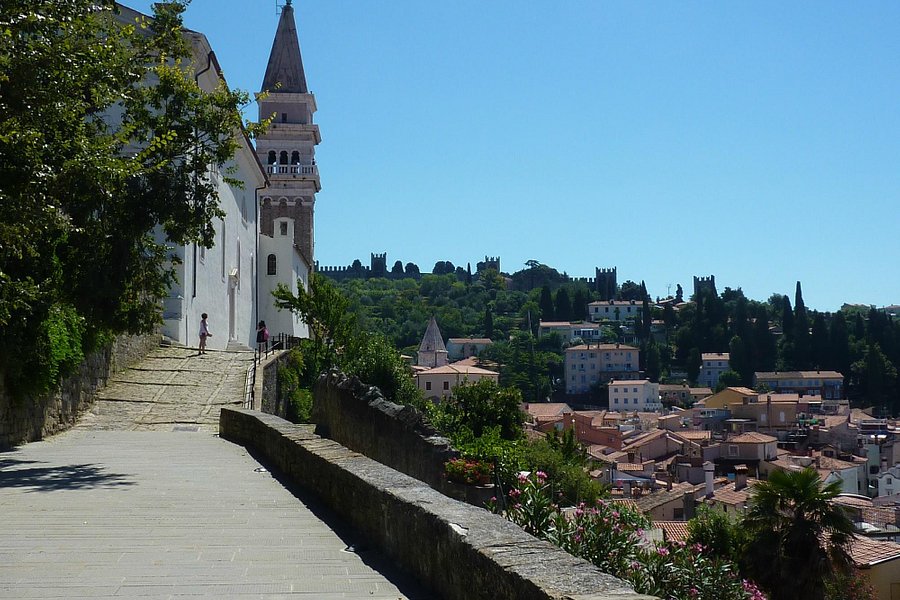 Koper Cathedral and Bell Tower image