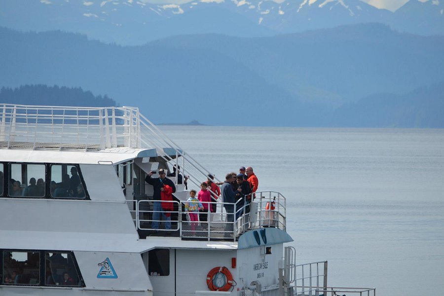 Icy Strait Point - Whale & Marine Mammals Cruise image