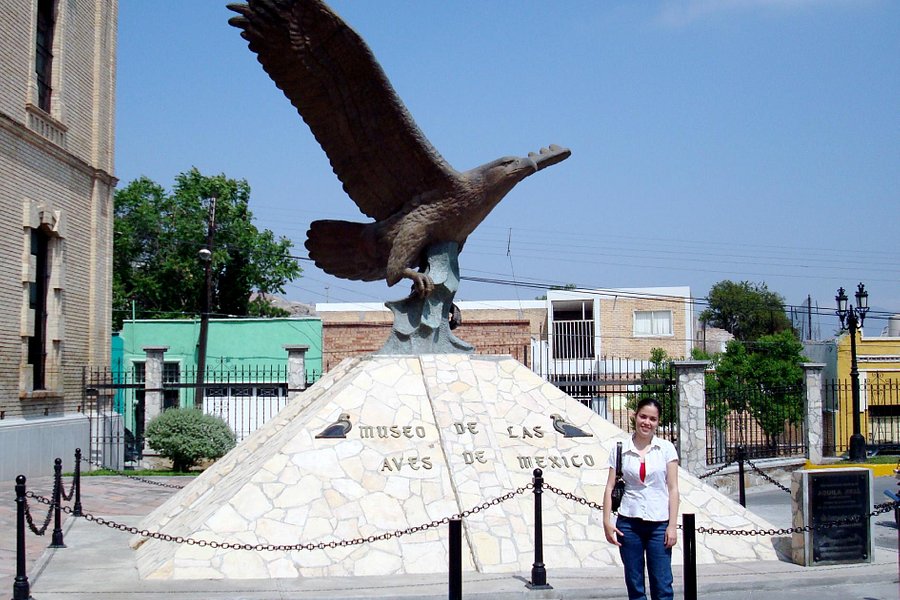 Museo de las Aves image