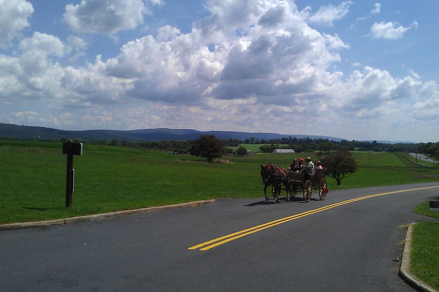 Bonnymeed Farm - Antietam Horse & Carriage Guided Tours image