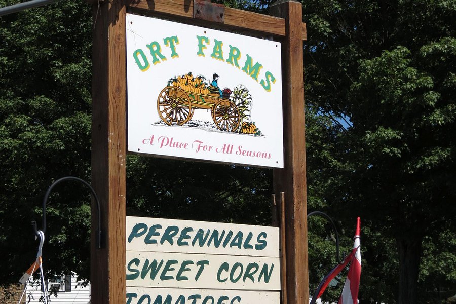 Ort Farms image