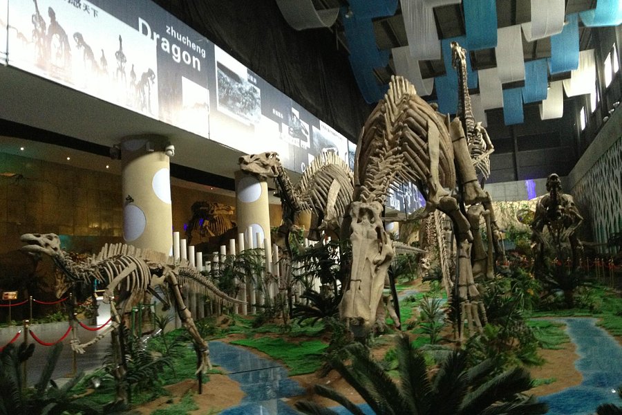 Dinosaur Museum image