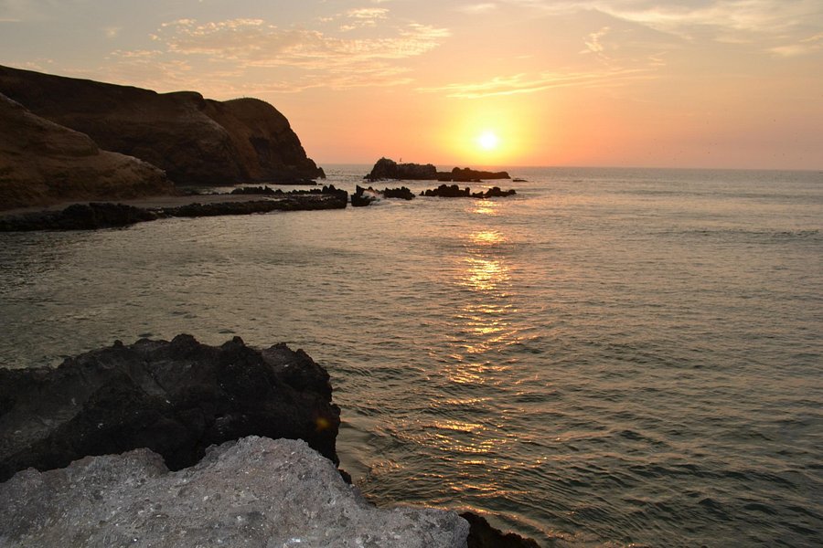 Playa Caleta Vidal image