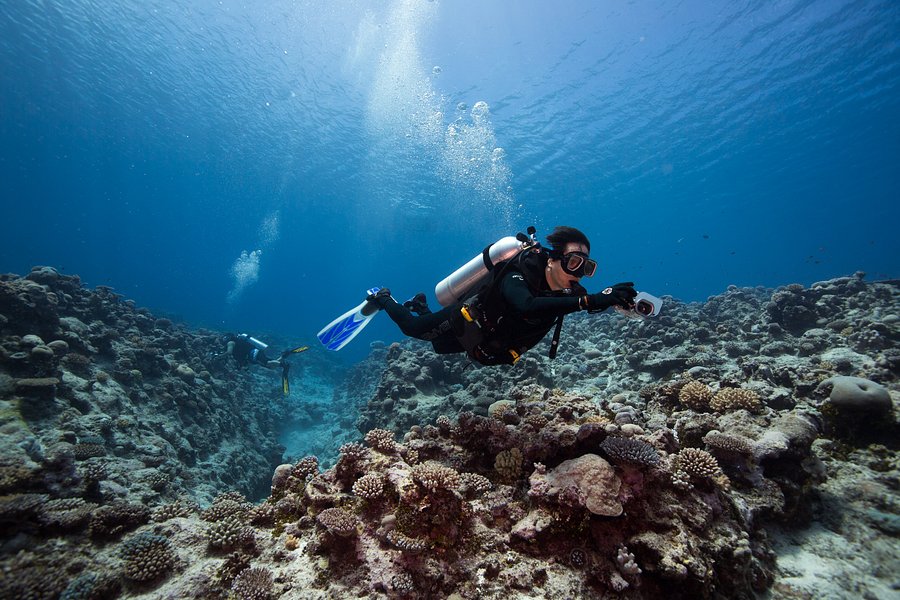 Buccaneer Adventures Niue Dive image