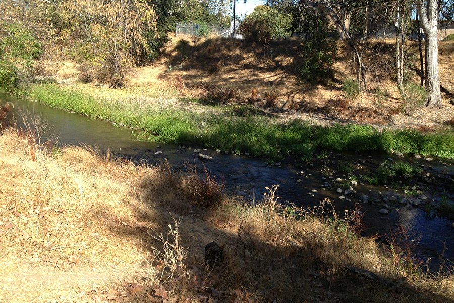 Los Gatos Creek Trail image