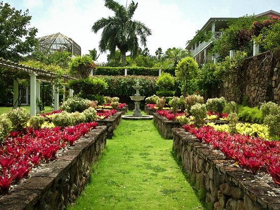 Botanical Gardens of Nevis image