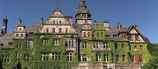 Orangerie und Schloss Ramholz image