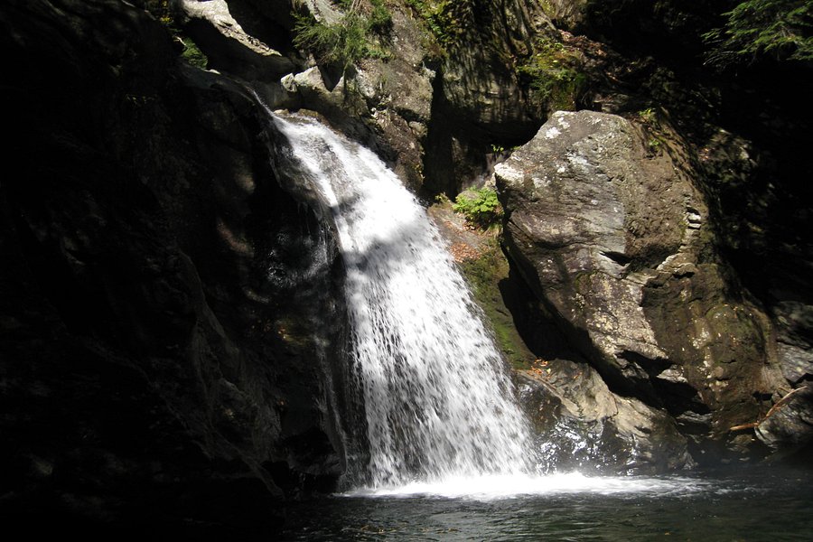 Bingham Falls image