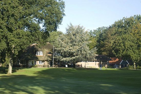 Golfclub Driene image