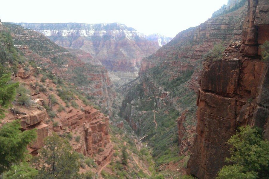 Grand Canyon North Rim Mule Rides -Tour image