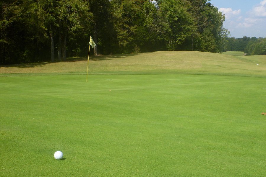 Regent Park Golf Club image