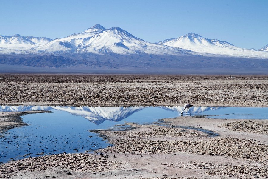 Salar de Atacama image