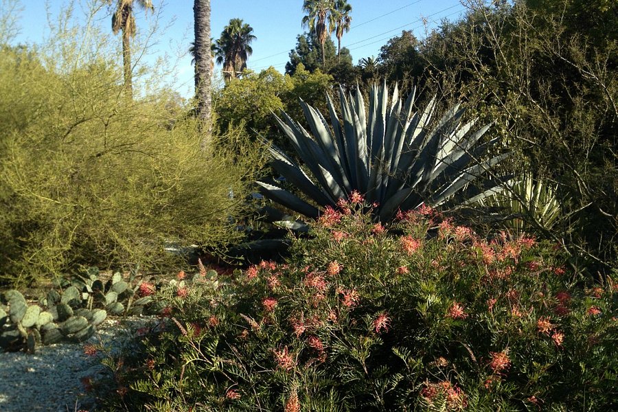 Arlington Garden in Pasadena image