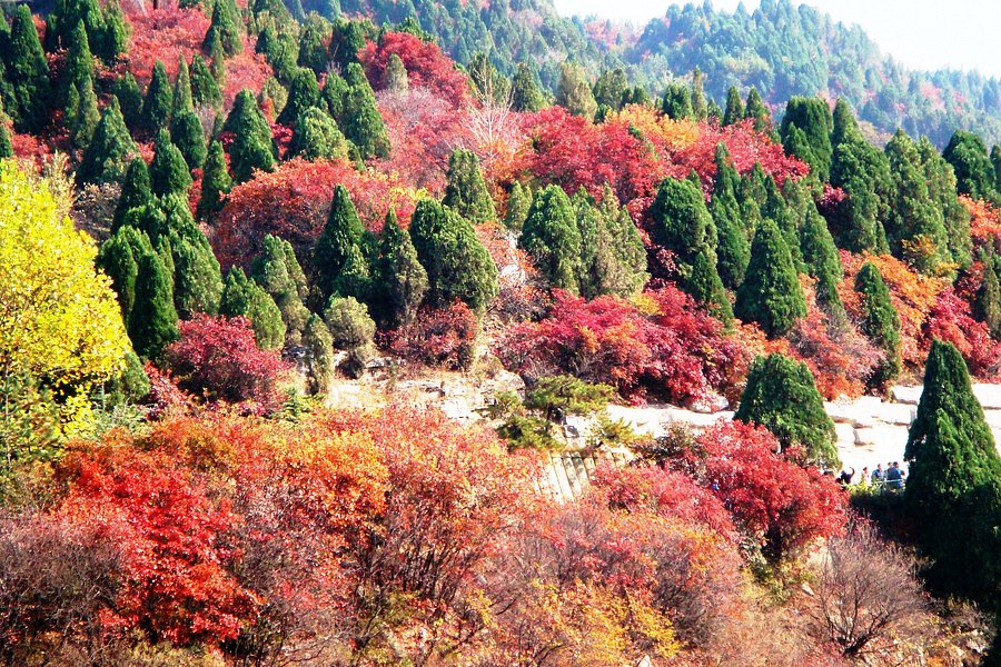 Red Leaf Valley image