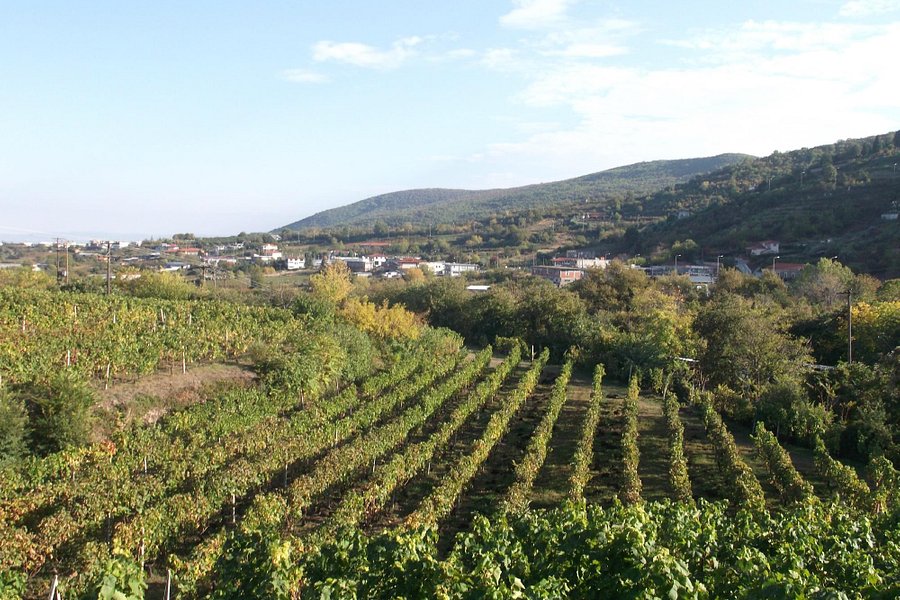 Dalamara Winery image