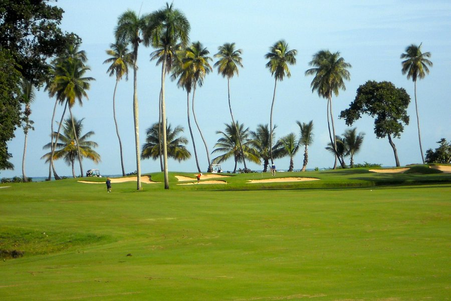 Dorado Beach Resort & Golf Club image