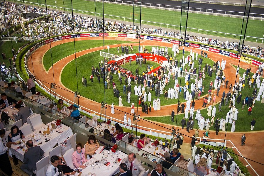 Meydan Racecourse image