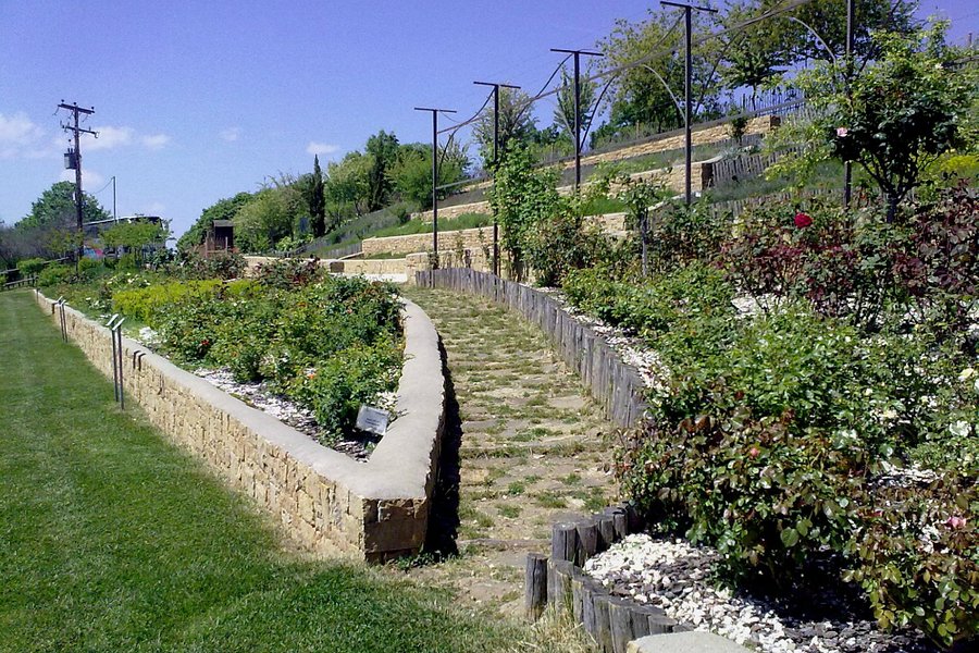 Balkan Botanic Garden of Kroussia image