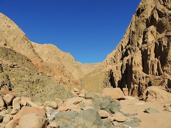 King Safari Dahab St. Catherine/Mt. Sinai Trip - Day Tours image