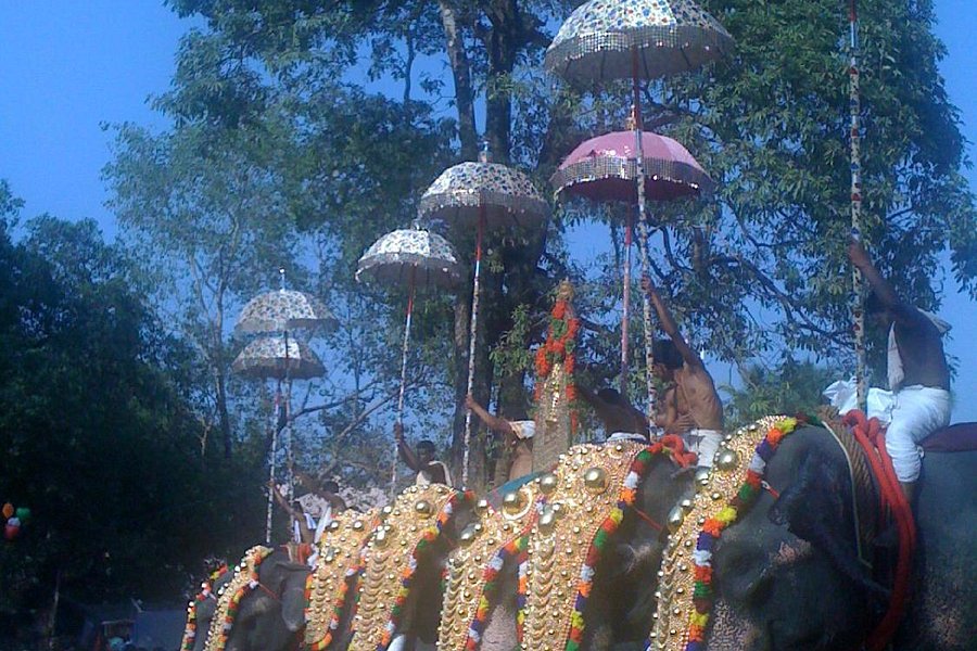 Kodungallur Bhagavathi Temple image