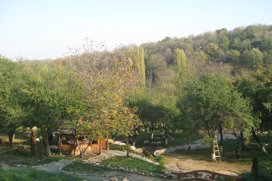 Monastery Velika Remeta image