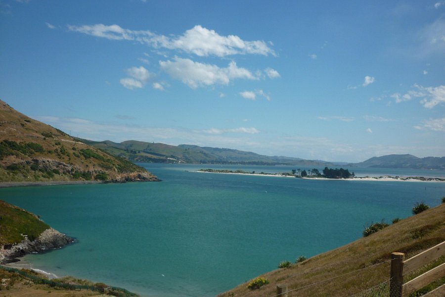 Otago Peninsula image